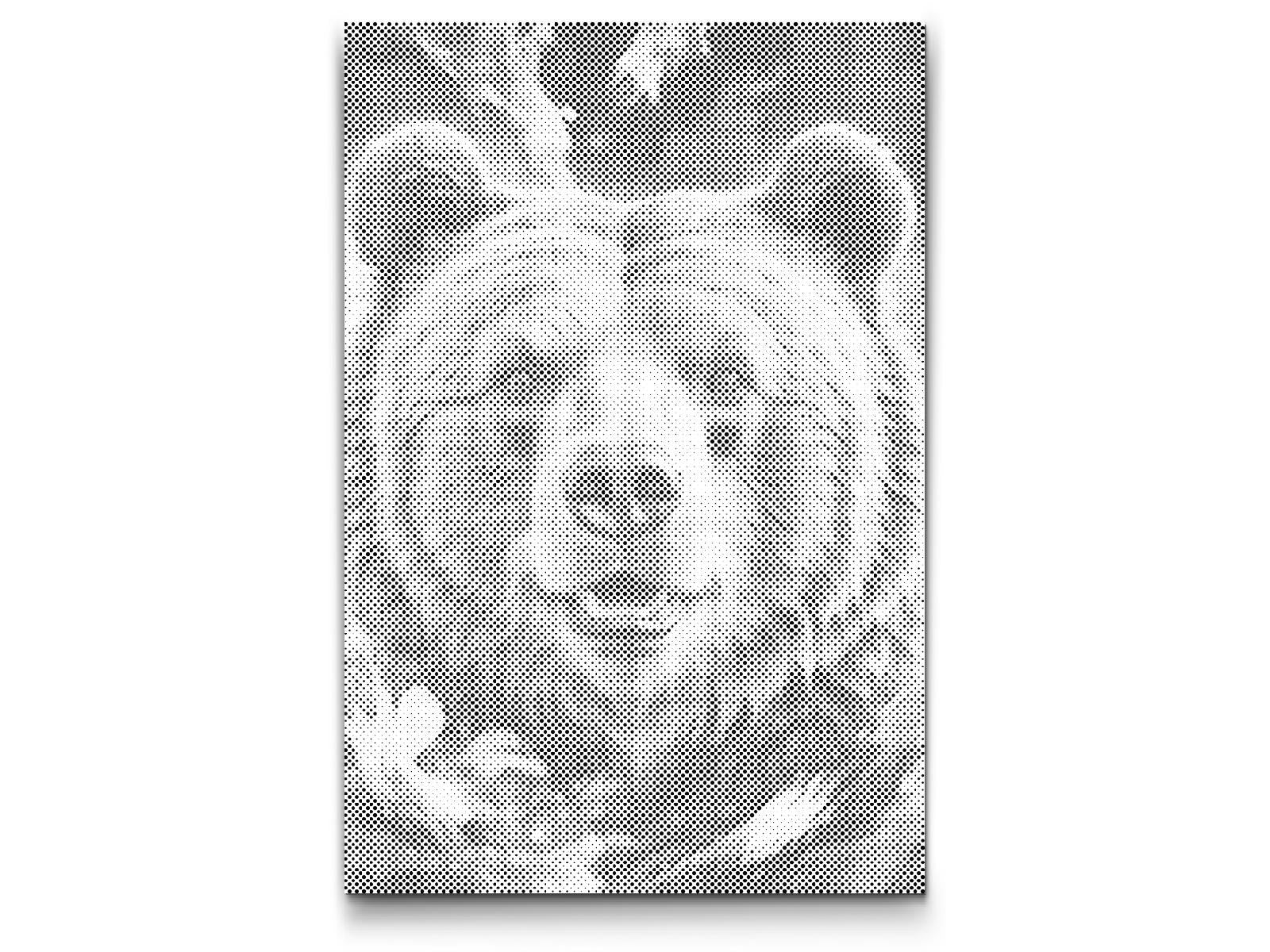 Bär in dunklen Türkistönen - Dottingo