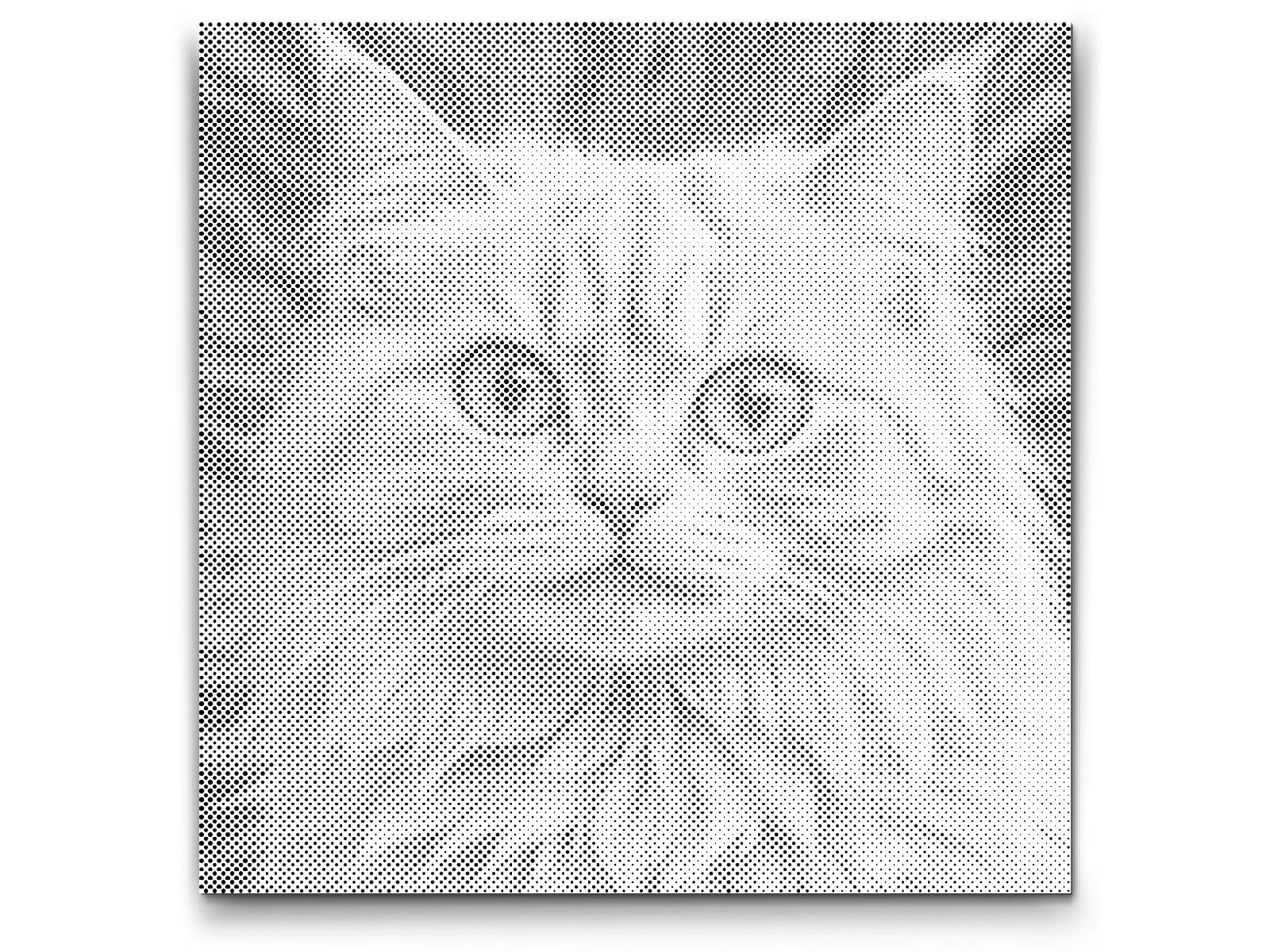 Katze in Rosatönen - Dottingo