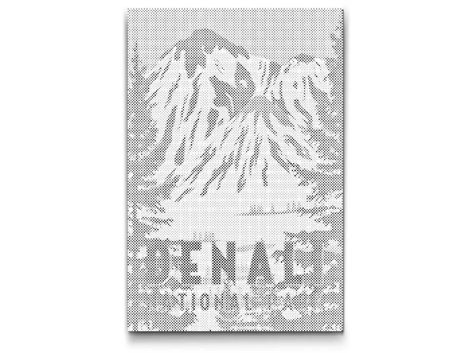 Nationalpark – Denali - Dottingo