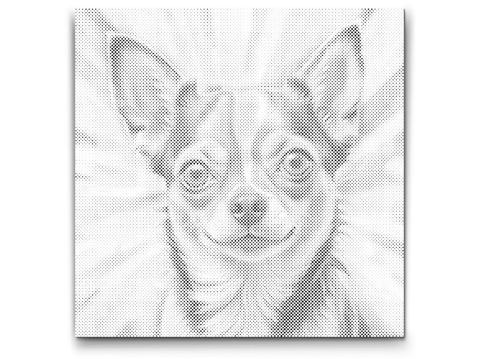 Chihuahua in Rot- und Blautönen - Dottingo