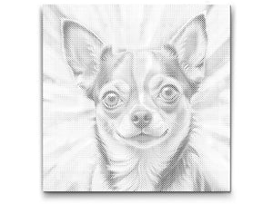 Chihuahua in Rot- und Blautönen - Dottingo