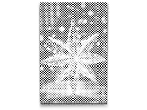 Weihnachtsbaumschmuck - Dottingo