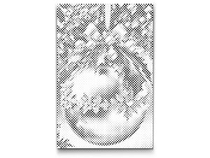 Silberner Weihnachtsschmuck - Dottingo