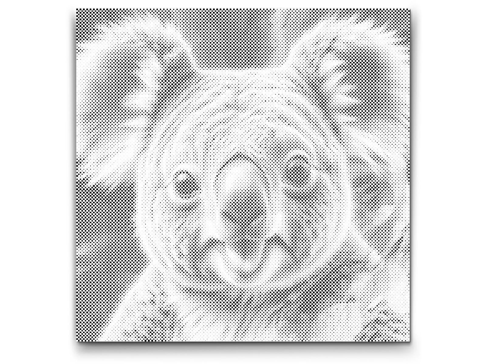 Koala in Türkis- und Orangetönen - Dottingo