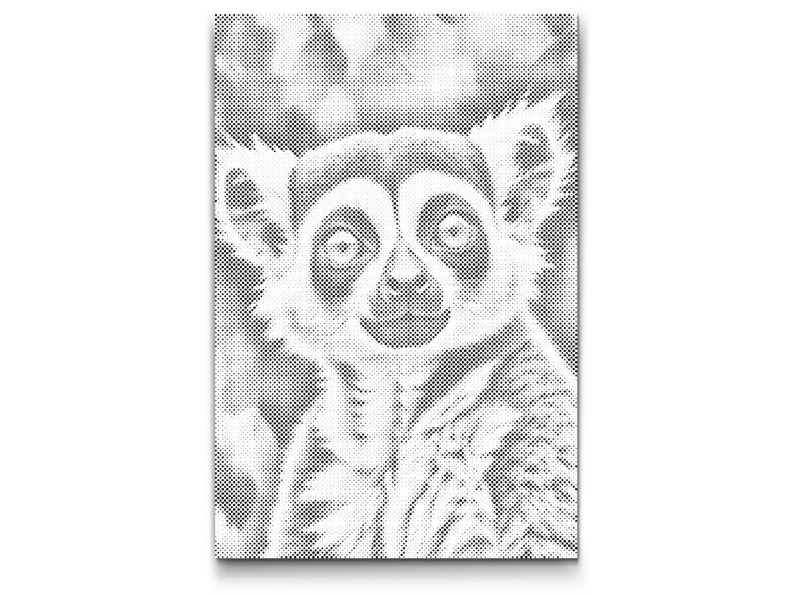 Lemur in dunklen Türkistönen - Dottingo
