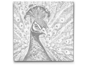 Pfau in Türkis- und Orangetönen - Dottingo