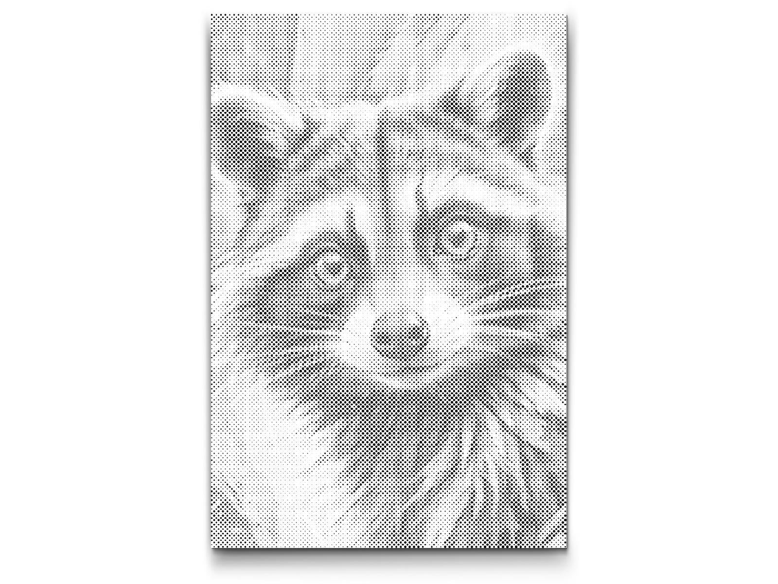 Waschbär in dunklen Türkistönen - Dottingo
