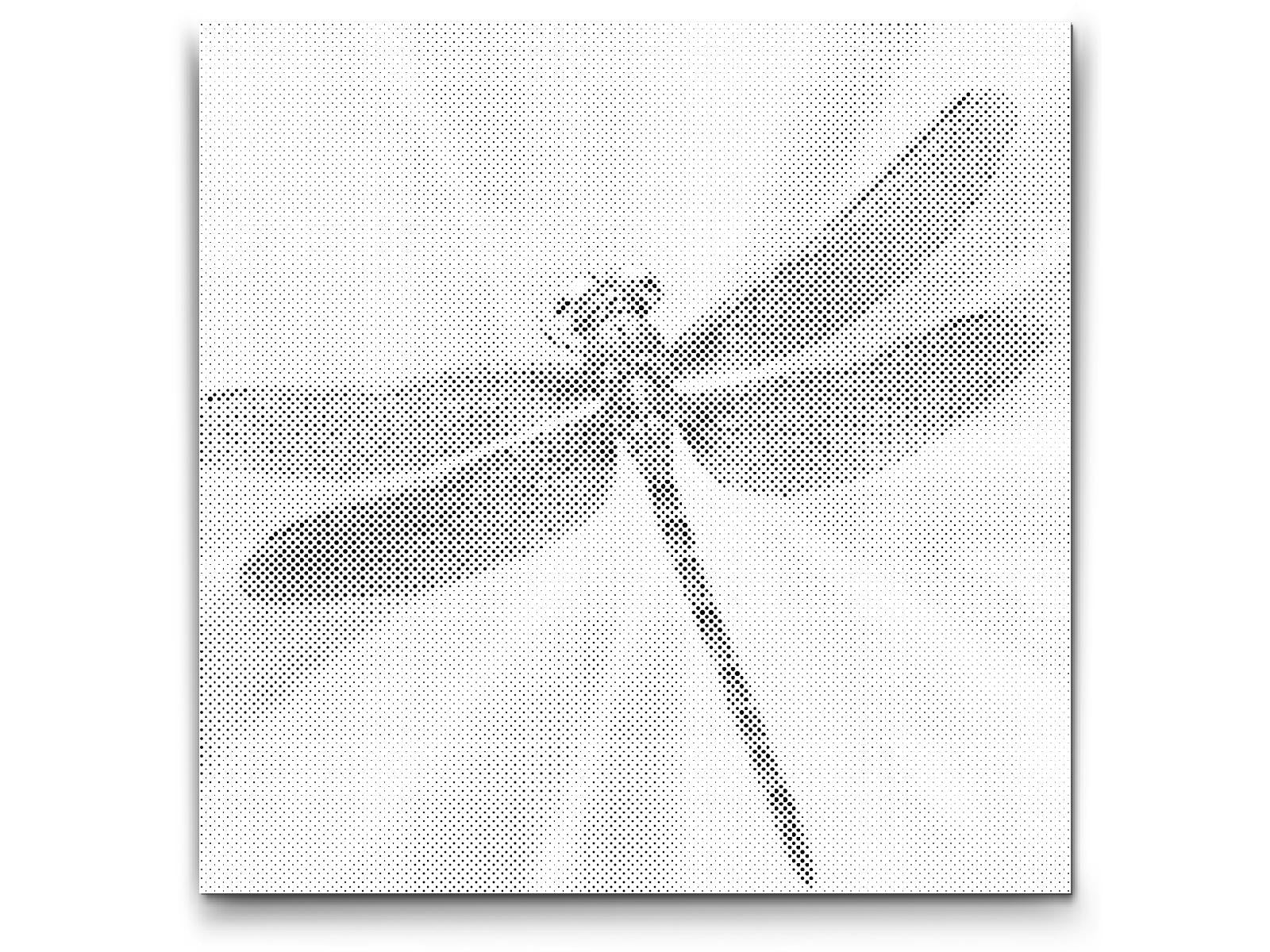 Libelle in Türkis- und Orangetönen - Dottingo