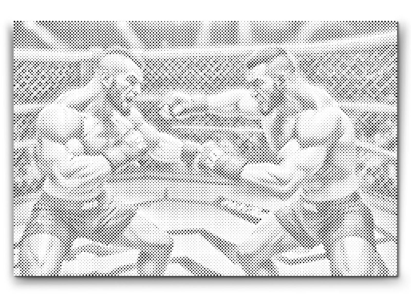 MMA-Kämpfer - Dottingo