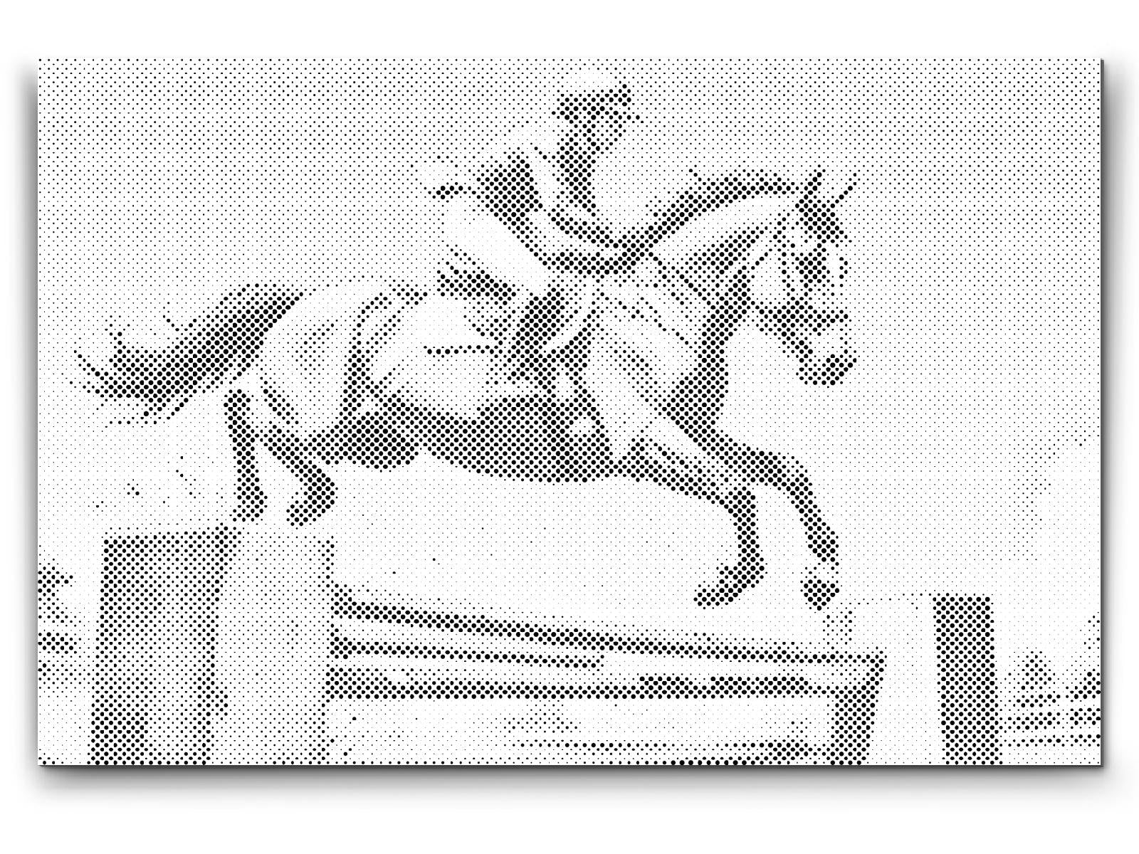 Reitsport - Dottingo