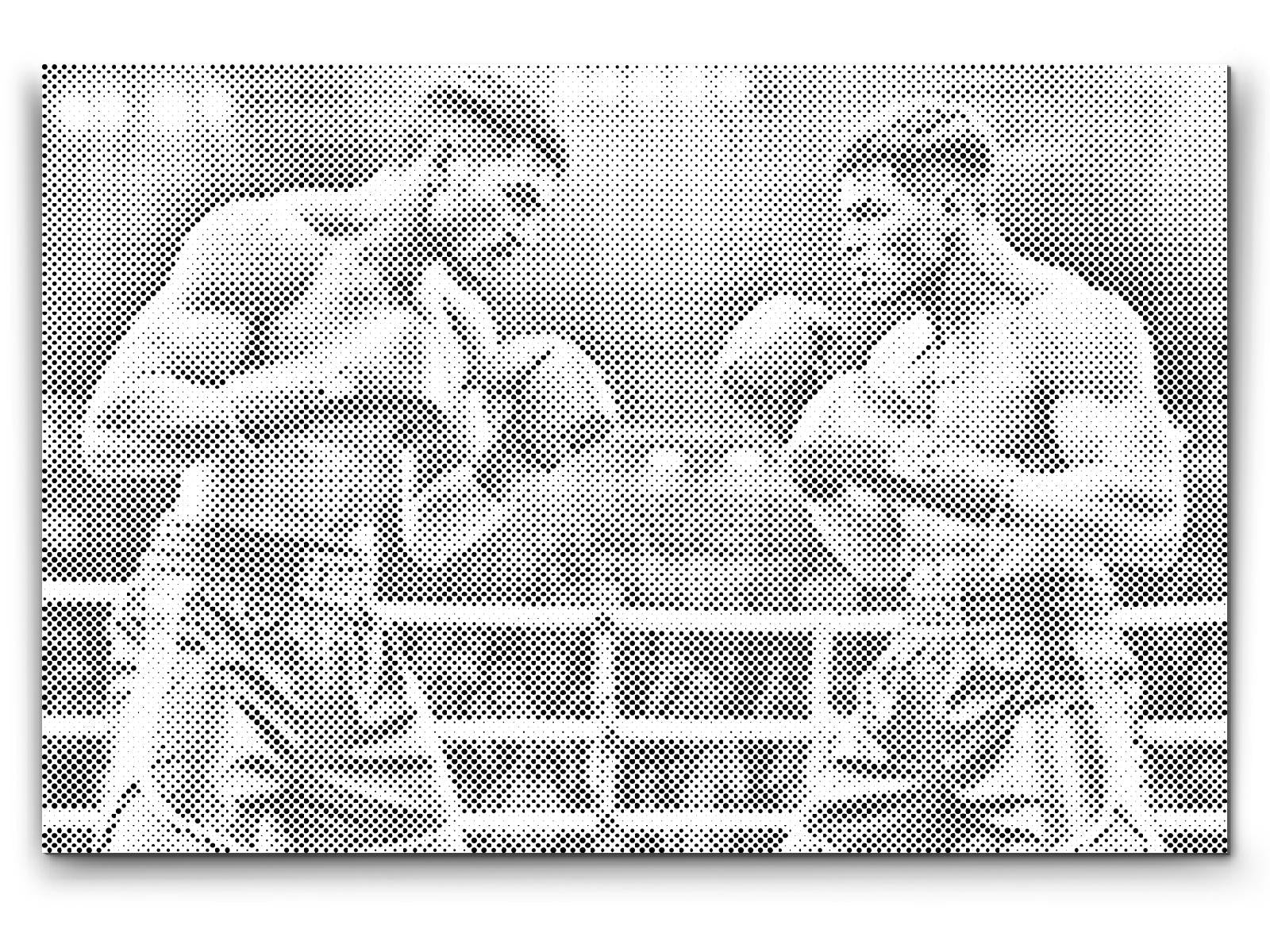 Boxer während des Kampfes - Dottingo