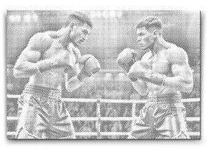 Boxer während des Kampfes - Dottingo