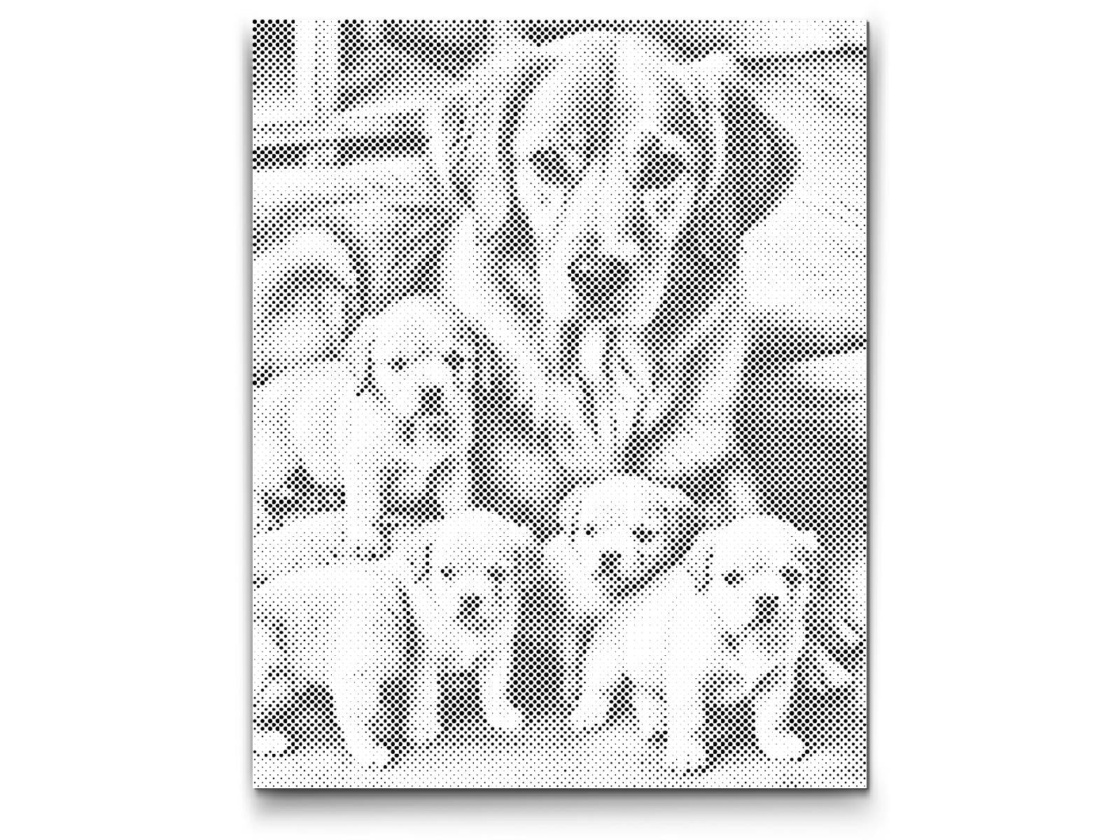 Golden Retriever und Welpen - Dottingo
