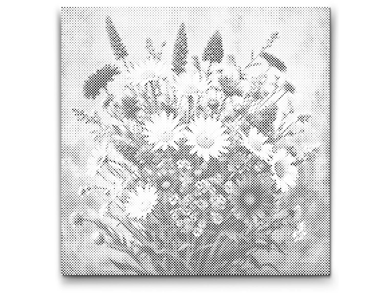 Blumenstrauß aus Wiesenblumen - Dottingo