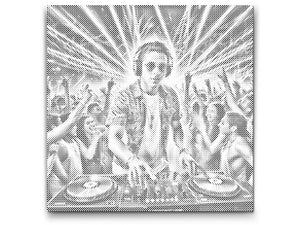 DJ beim Konzert - Dottingo