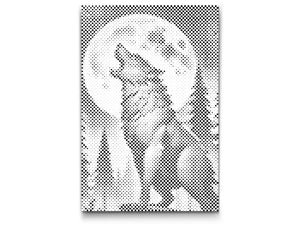 Wolf in der Nacht 2 - Dottingo