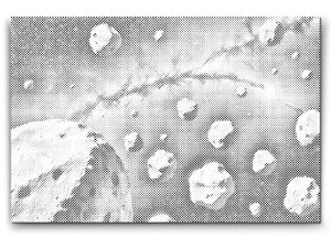 Asteroidengürtel - Dottingo