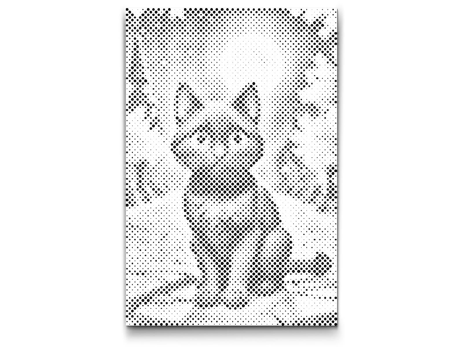Schwarze Katze im Herbst - Dottingo