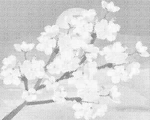 Kirschblüten - Dottingo