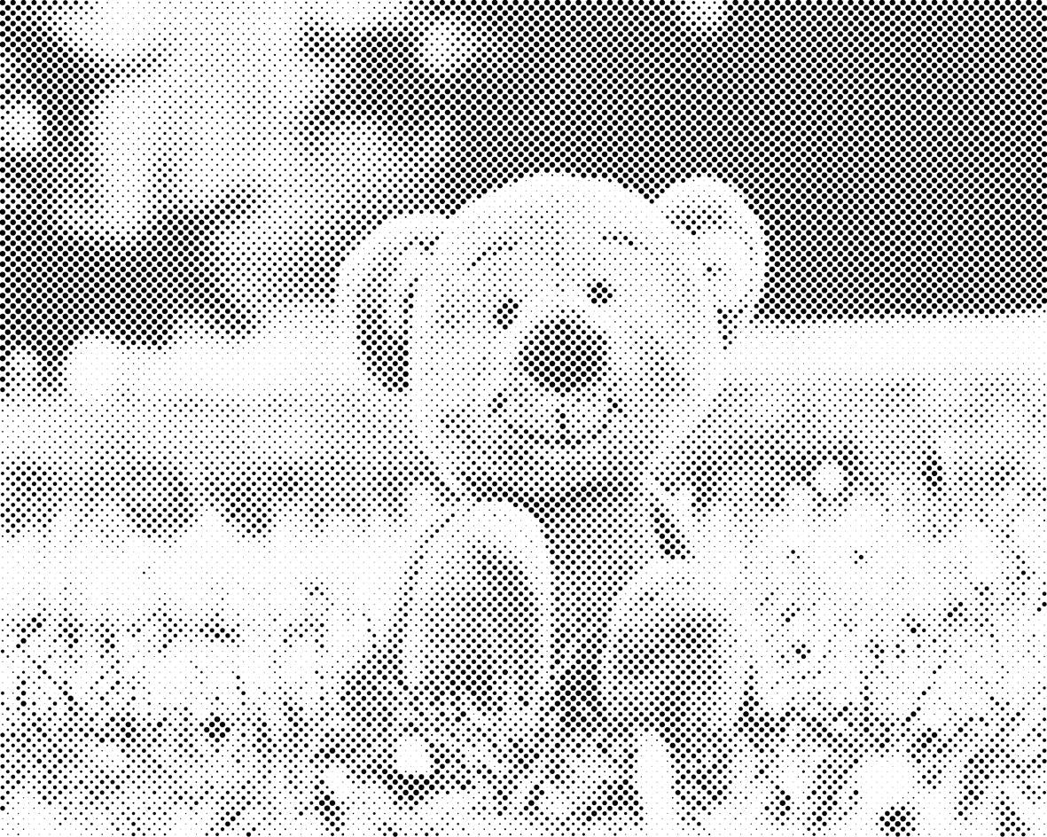 Teddybär im Gras - Dottingo