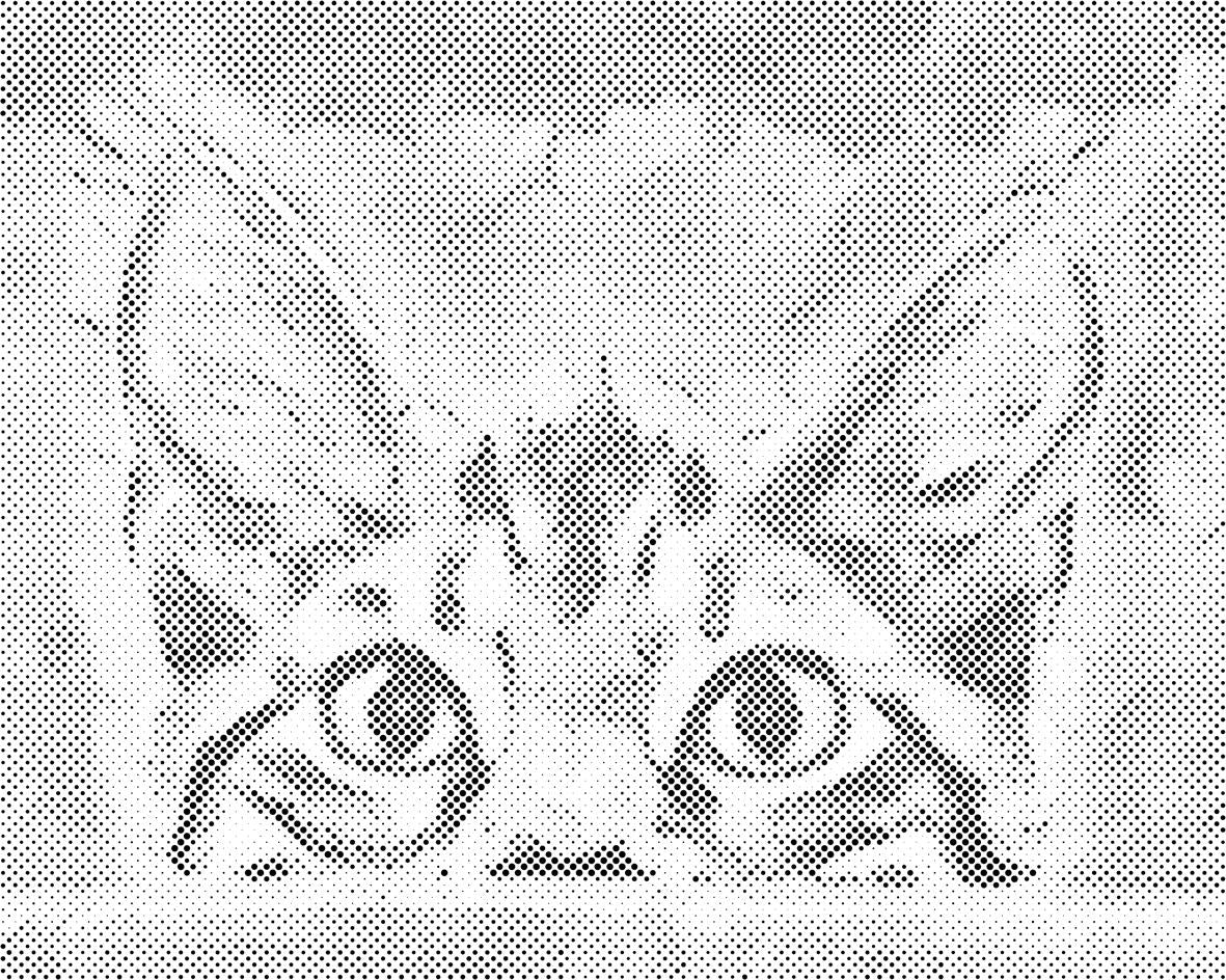 Neugierige Augen - Dottingo