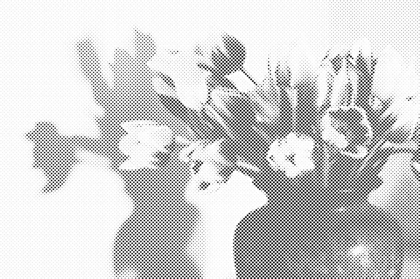 Malen nach Zahlen -Tulpen in einer Vase - Dottingo
