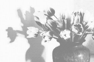 Malen nach Zahlen -Tulpen in einer Vase - Dottingo