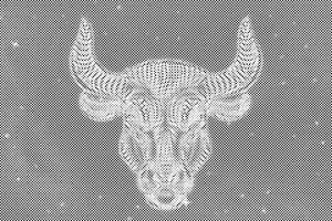 Stier - Dottingo