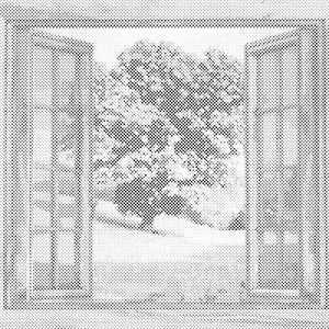 Fensteransicht - Dottingo