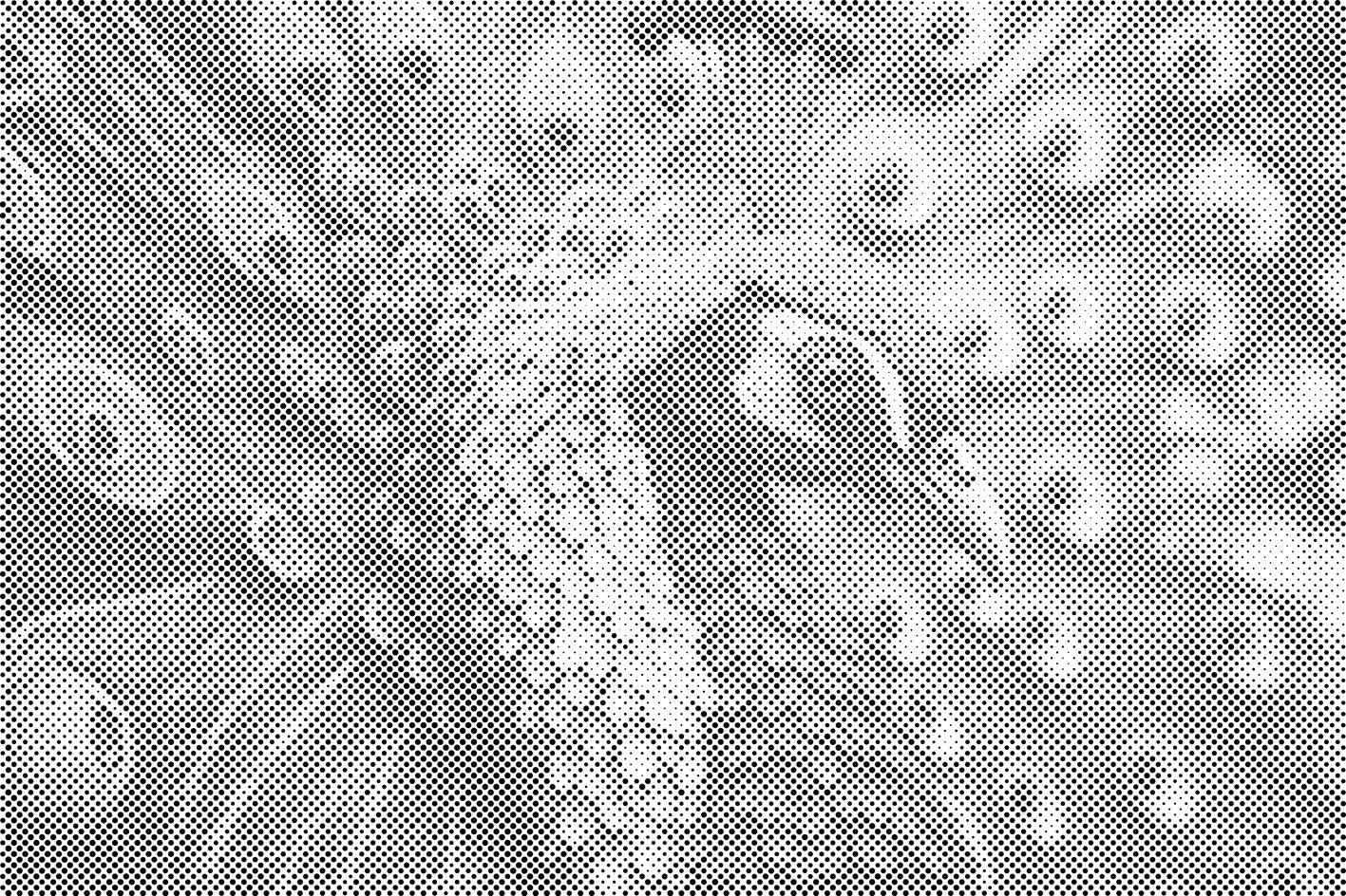 Blauer Pfau - Dottingo