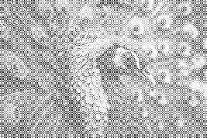 Blauer Pfau - Dottingo