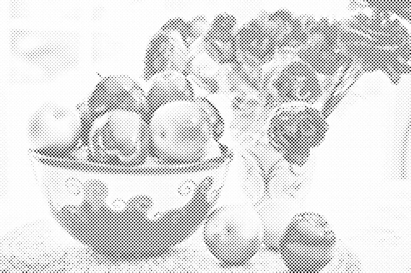 Äpfel und Blumen - Dottingo