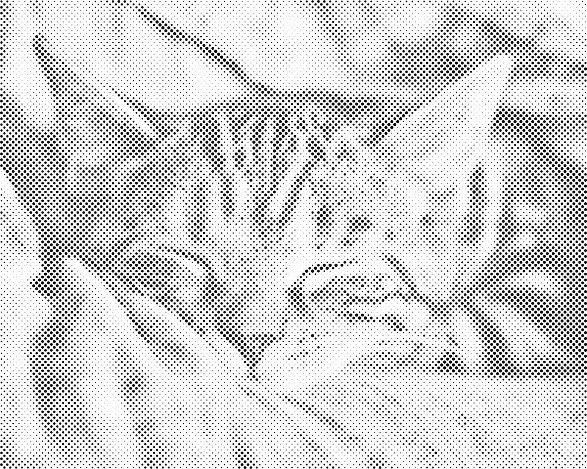 Schlafende Katze - Dottingo