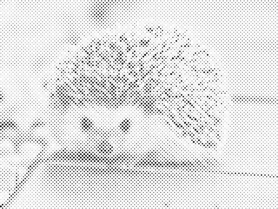 Igel, nachtaktive Kreatur - Dottingo