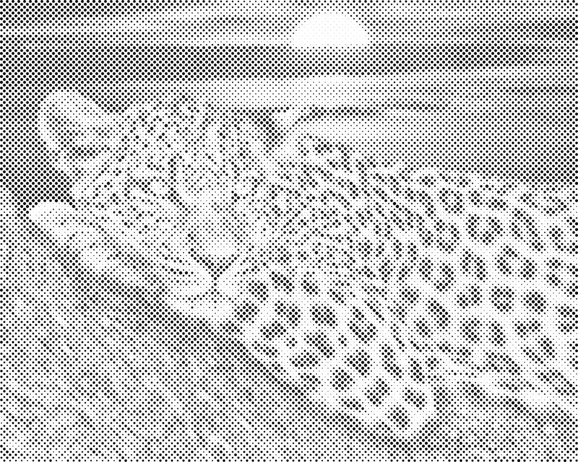 Leopard bei Sonnenuntergang - Dottingo