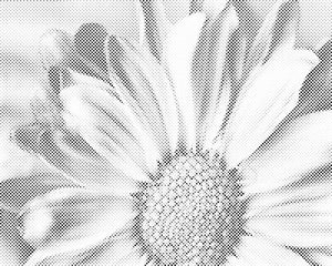 Sanfte Blume - Dottingo