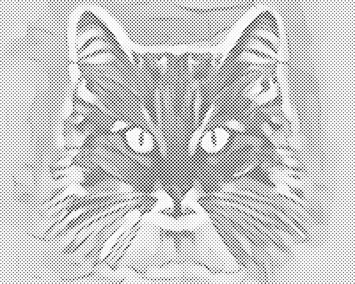 Der Blick der Katze 2 - Dottingo