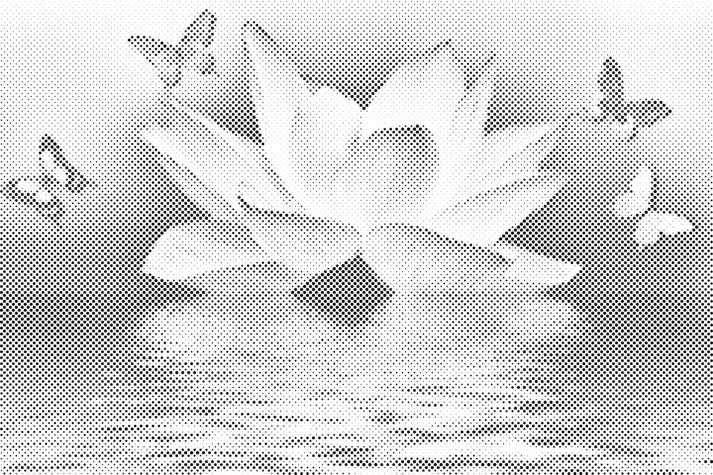 Lotus und Schmetterlinge - Dottingo