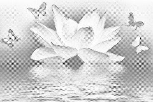 Lotus und Schmetterlinge - Dottingo