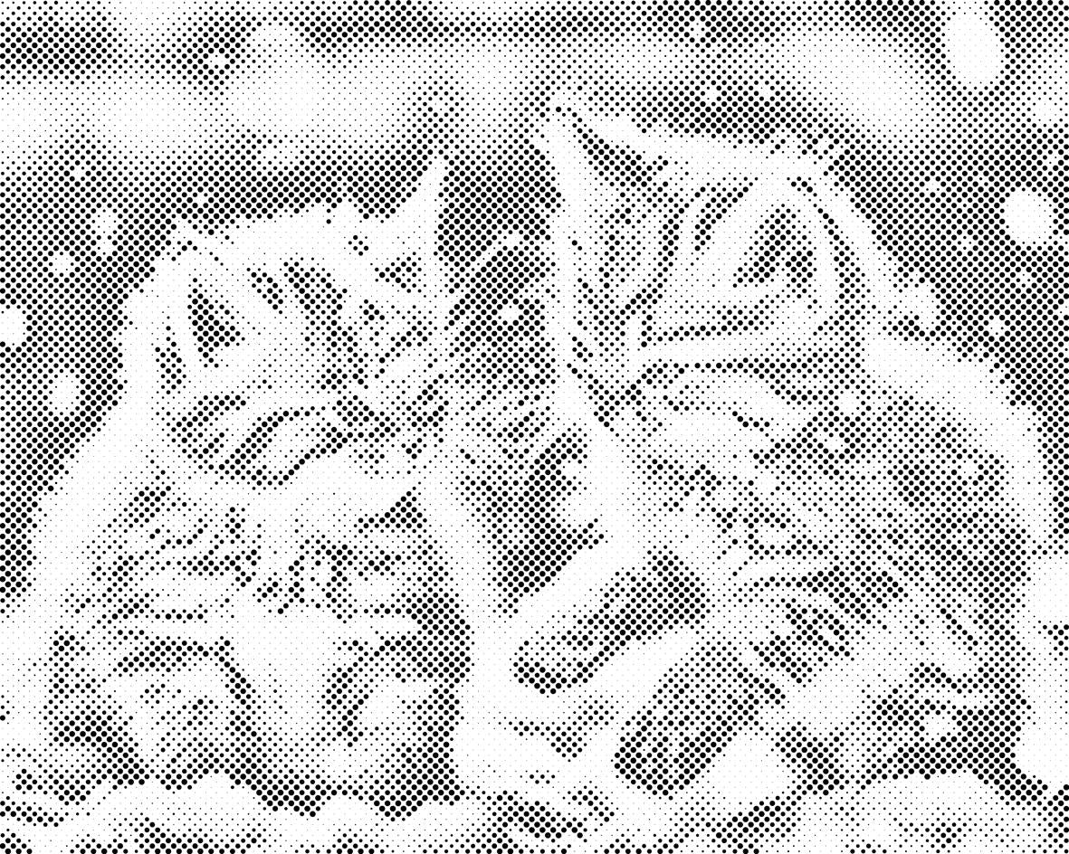 Kätzchen im Schnee - Dottingo