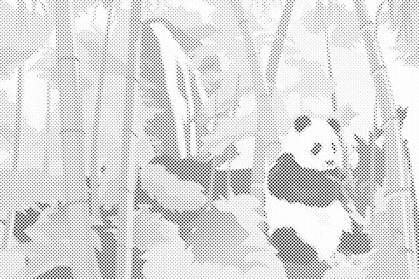 Panda im Regenwald - Dottingo