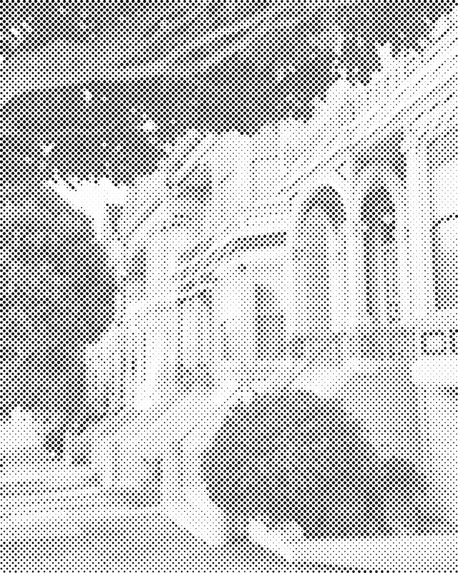 Painted ladies San Francisco - Dottingo