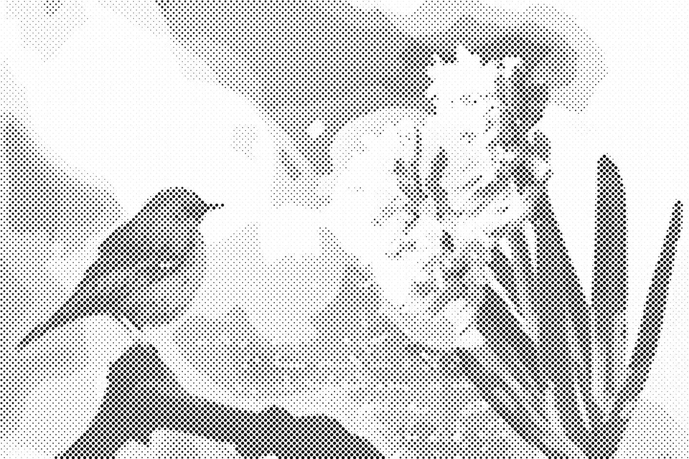 Hyazinthe und Vogel - Dottingo