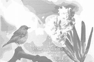 Hyazinthe und Vogel - Dottingo