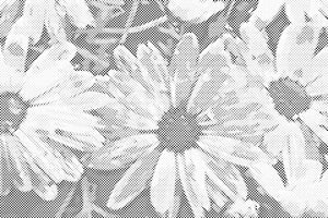 Astern - Dottingo