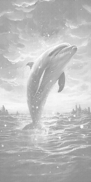 Delfin bei Sonnenuntergang - Dottingo