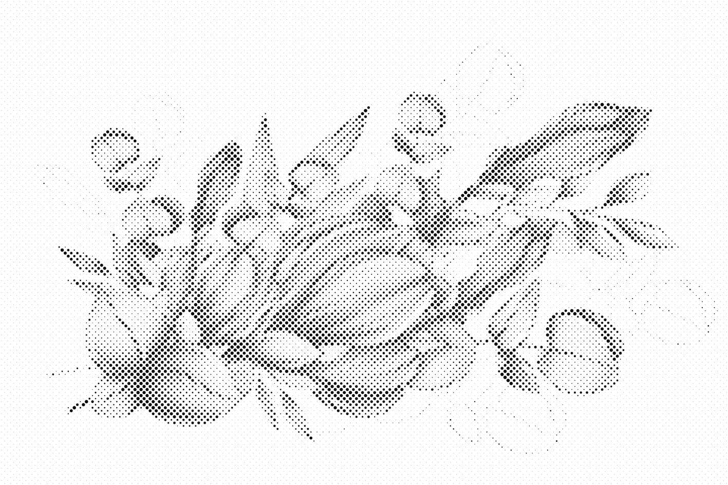 Lilane Blumen - Dottingo