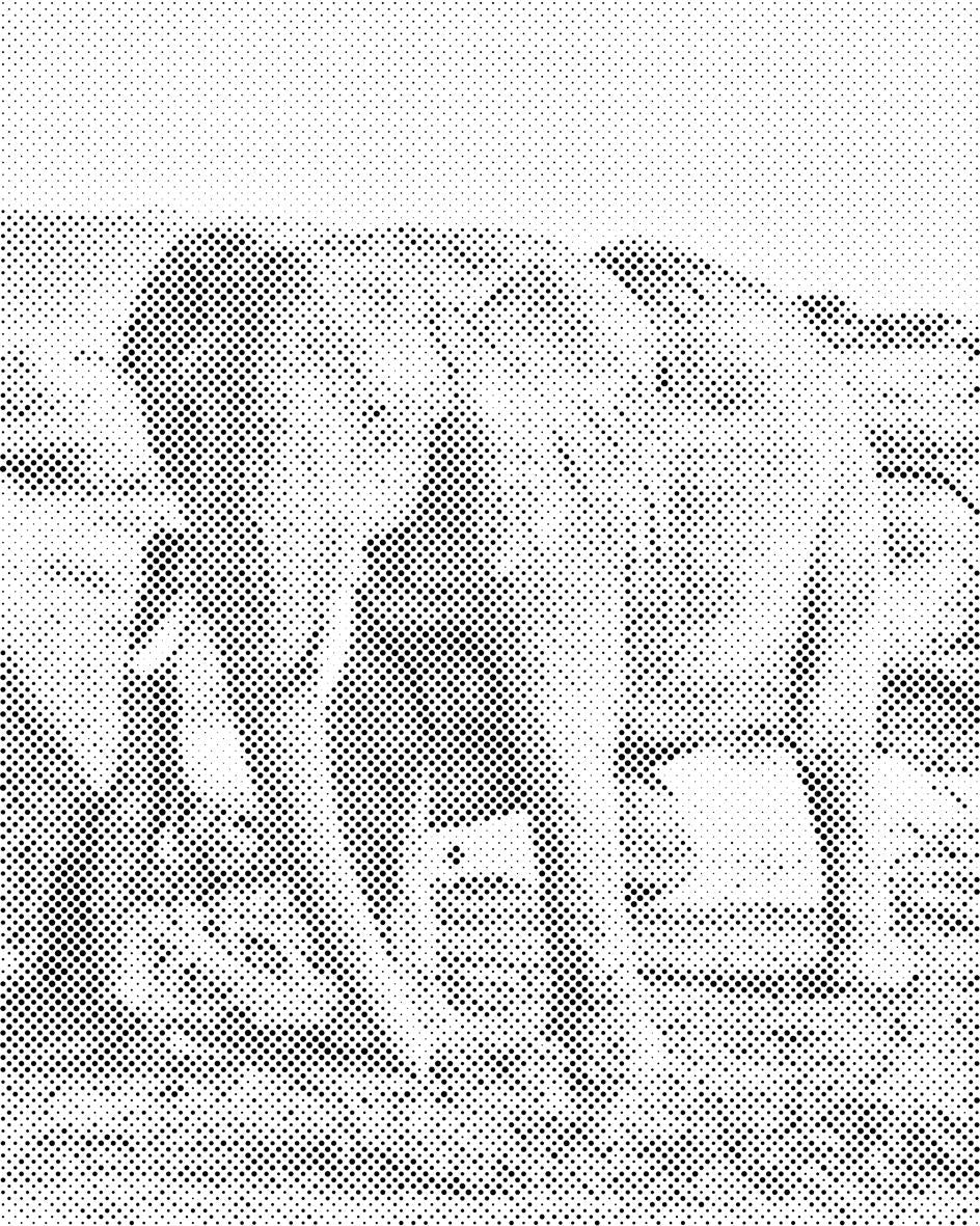 Safari - Elefant - Dottingo