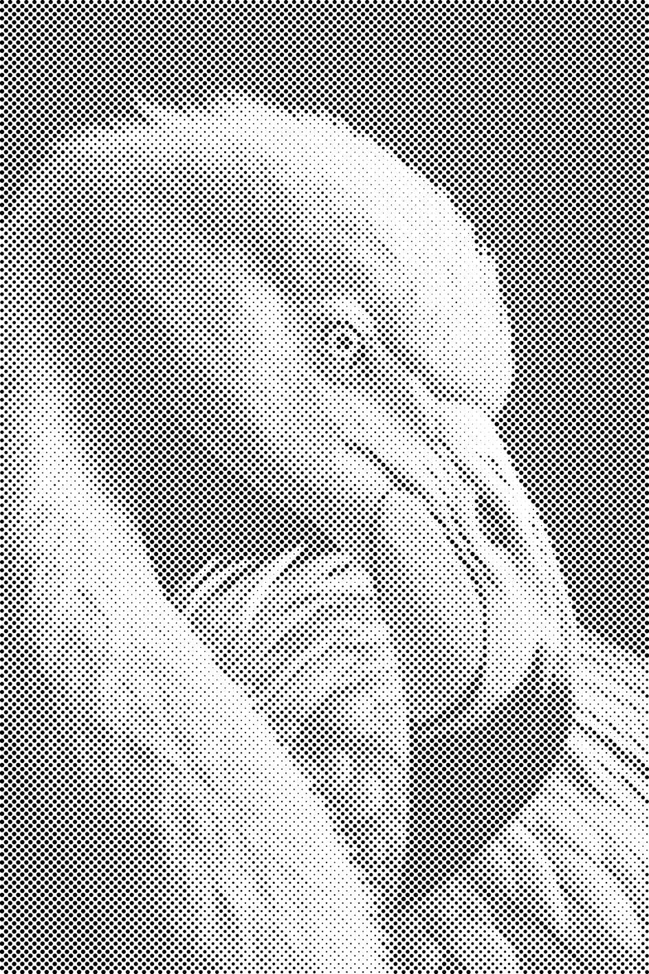 Diamond Painting - Flamingo-Porträt - Dottingo