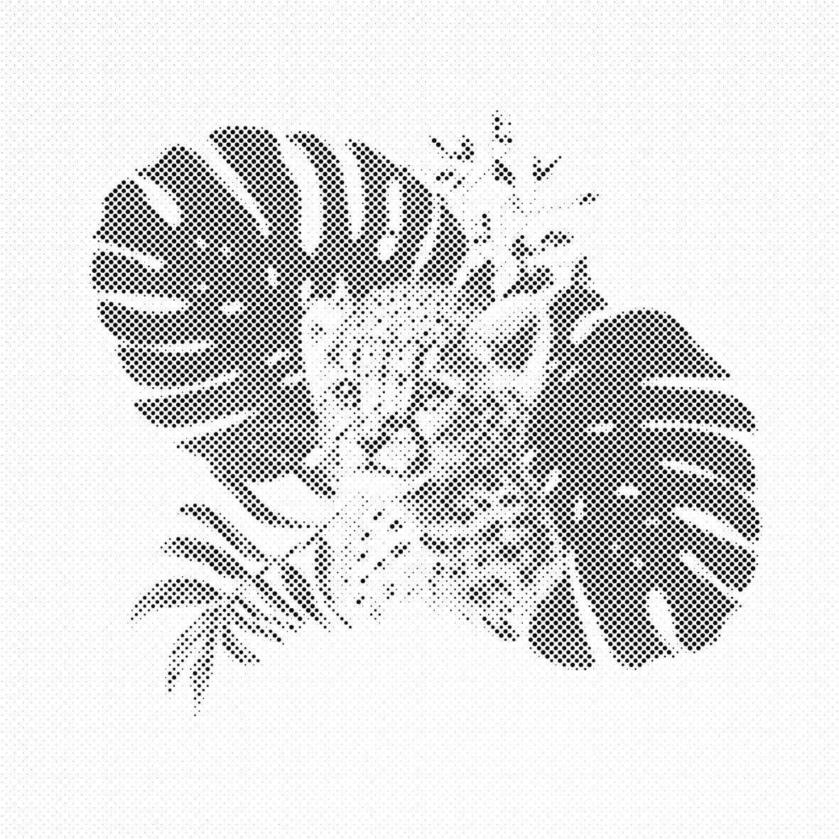 Das Leopardenjunge und das Fensterblatt - Dottingo